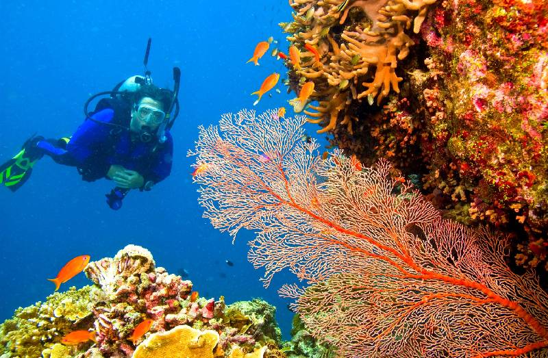 Water sports adventure